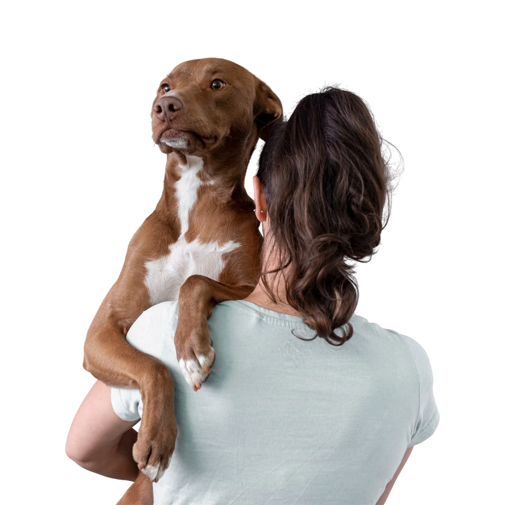 Pet shop kmf moj ljubimac