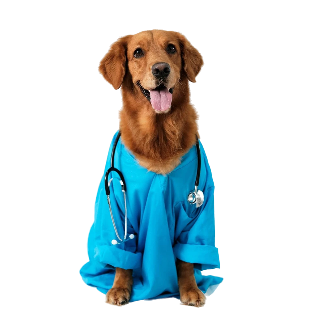 Pet shop kmf saveti veterinara