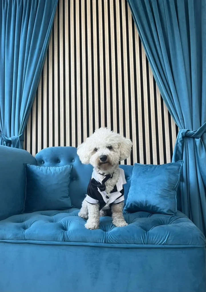 0 02 05 df389c39b7e24029d3a6f75e4a630f8a7ee2aa243e69ffd4fa0bdd4035024bf4 3cf79abbefb32732