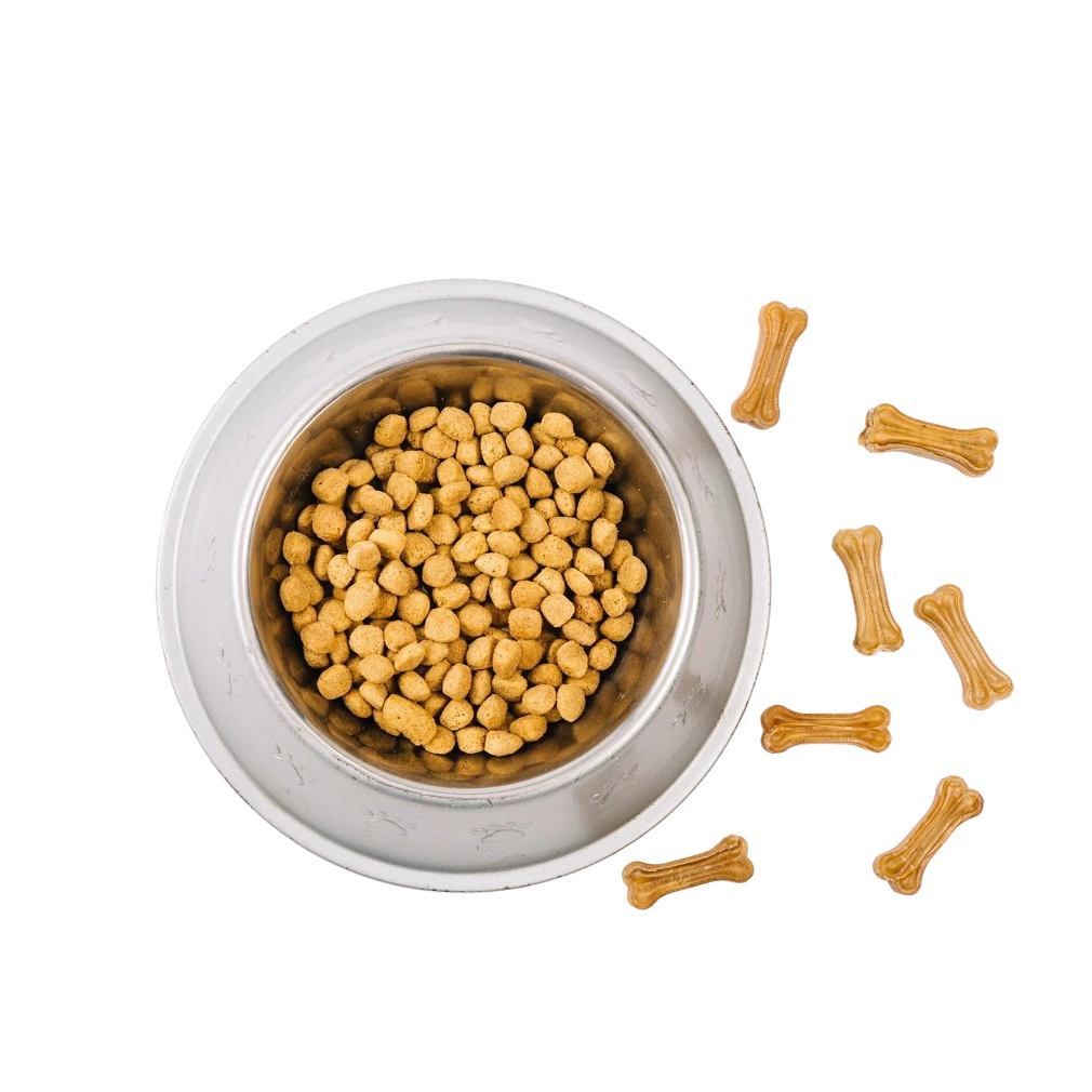 Pet shop kruševac kmf hrana za pse