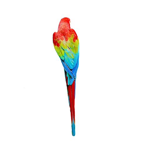 Freepik br a223d483 e501 4c7a a90b 13f36badf7b2