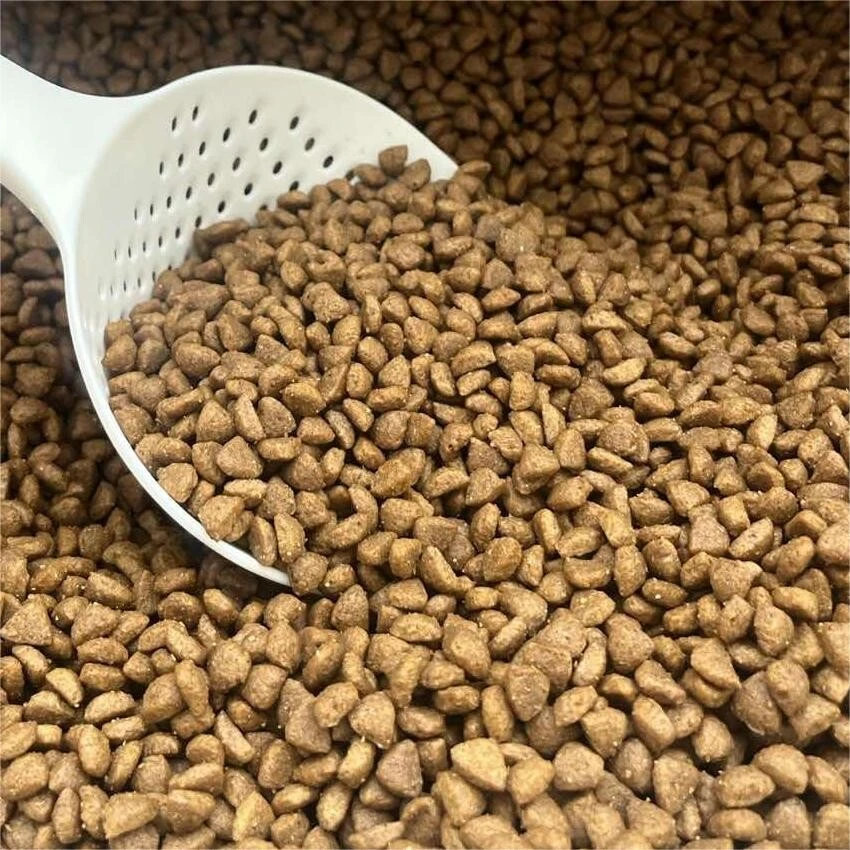 Royal Canin Medium Starter 1kg – Hrana za štence srednjih rasa (11-25 kg) i laktirajuće kujice - Image 2